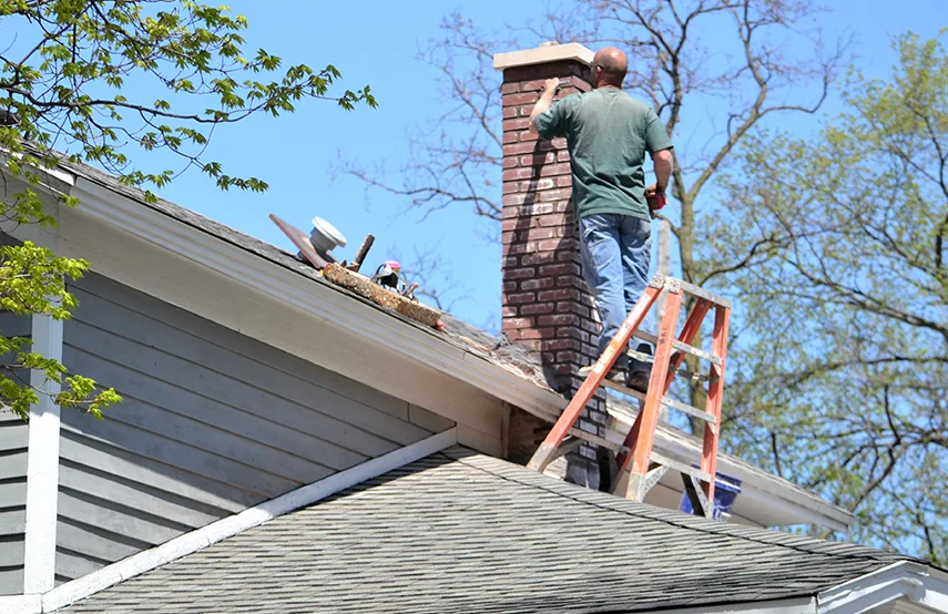 Chimney & Fireplace Inspections Services in Merrifield, VA